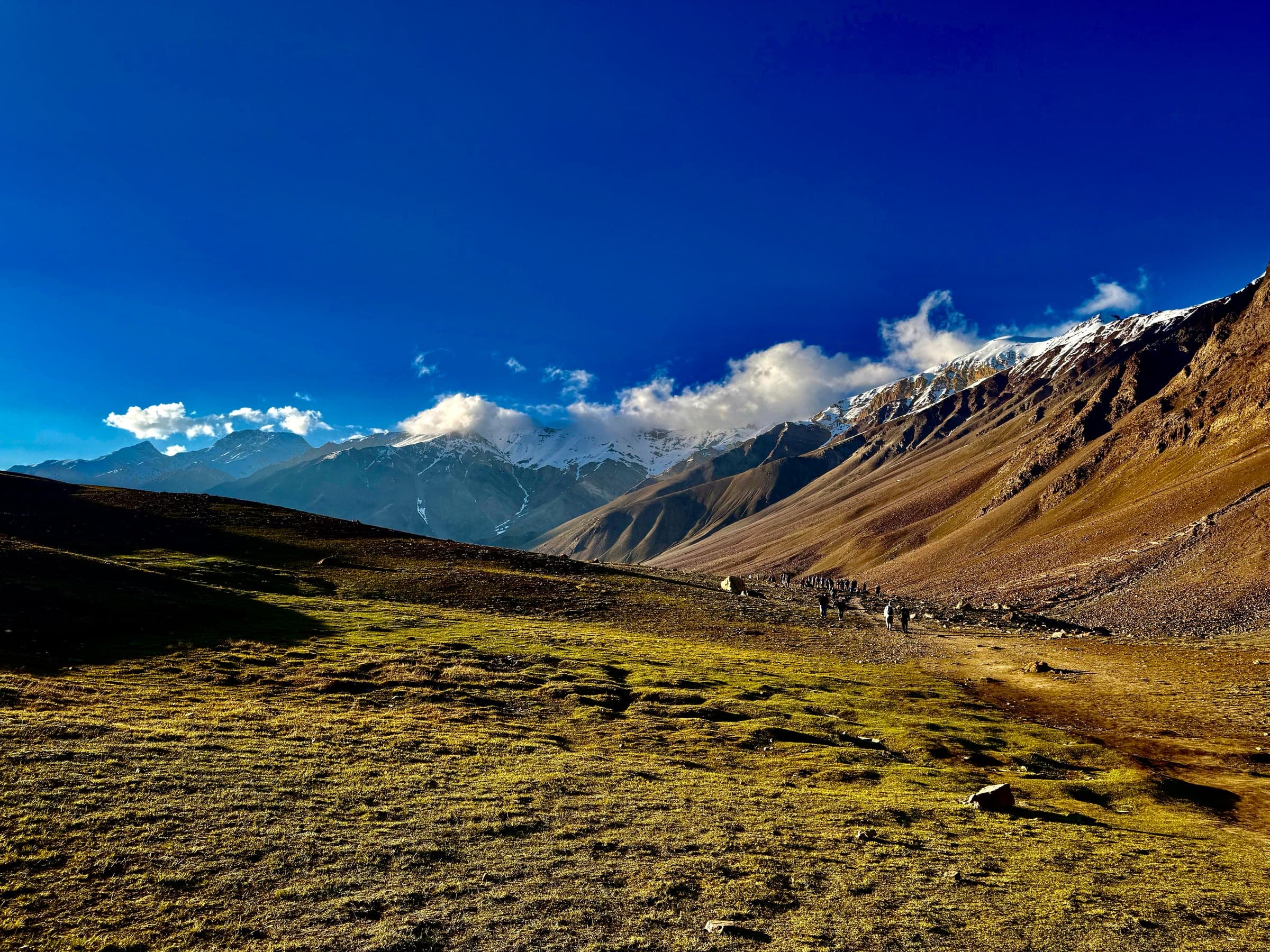 Trekkers on a trail across a sunlit green meadow, with snow-capped peaks under a dark blue sky