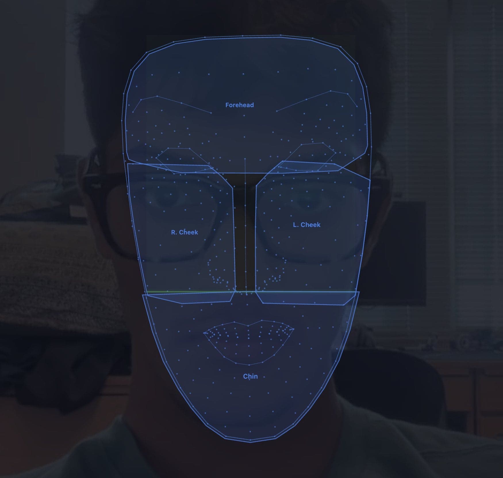 A selfie overlaid with FaceMesh landmarks and four outlined zones labelled forehead, right cheek, left cheek and chin
